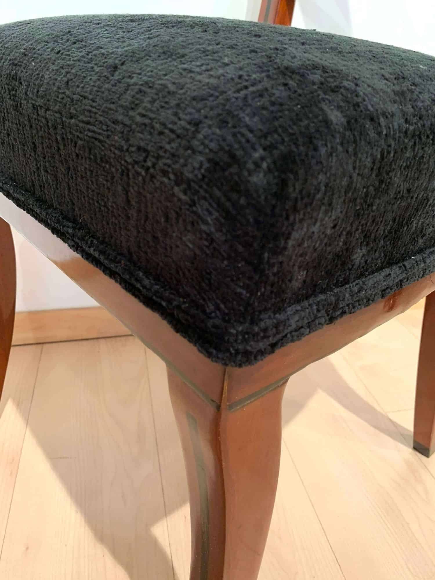 Neoclassical Side Chairs, Mahogany, Ebony, Velvet, Vienna, circa 1820 - Image 10