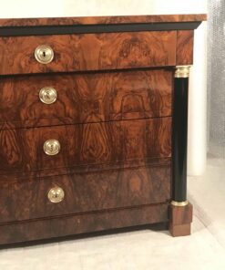 Biedermeier walnut chest of drawers- detail of the front- Styylish