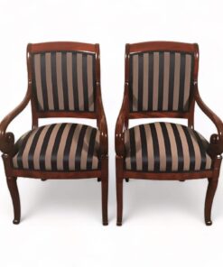 Pair of French 19th century Armchairs- Styylish