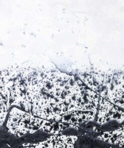 Dan Hôo Artwork - Paint - Styylish