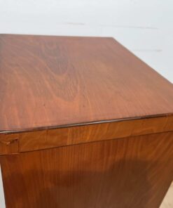 Biedermeier Pillar Cabinet - Top Plate Wood Detail - Styylish