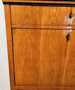 Early Biedermeier Secretaire - Wood - Styylish