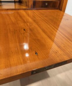 Early Biedermeier Secretaire - Wood Veneer - Styylish