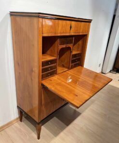 Early Biedermeier Secretaire - Desk - Styylish