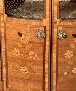 Napoleon III Bookcase- marquetry on the doors- Styylish