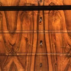 Biedermeier Walnut Dresser- detail of the front- Styylish