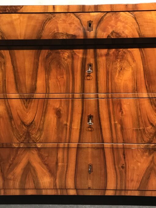 Biedermeier Walnut Dresser- detail of the front- Styylish