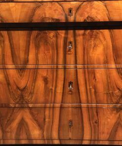 Biedermeier Walnut Dresser- detail of the front- Styylish