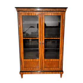 Cherry Biedermeier Bookcase, Southern Germany circa 1820