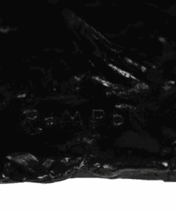 François Pompon “Cerf Bramant” - Mark - Styylish