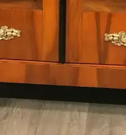 Biedermeier Walnut Bookcase- Detail of lower middle part- Styylish