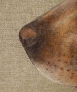 Painting of a Dog - Nose Detail - Styylish