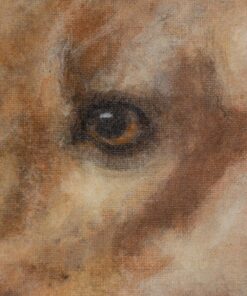 Painting of a Dog - Eye Detail - Styylish