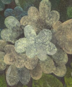 Parakeet Painting - Green Hues - Styylish