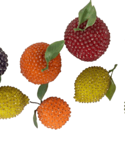 859A7086-removebg-Fantasy Beaded Fruits - Orange - Styylish