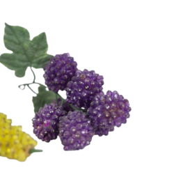 859A7086-removebg-Fantasy Beaded Fruits - Grapes - Styylish