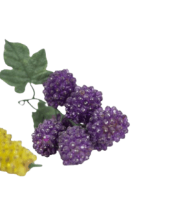 859A7086-removebg-Fantasy Beaded Fruits - Grapes - Styylish