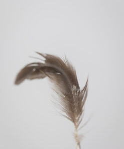 Ingo Maurer Lamp Model “Bibibibi” - Feather - Styylish