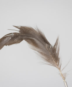 Ingo Maurer Lamp Model “Bibibibi” - Feather Detail - Styylish