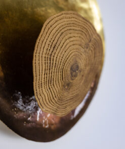 “Martincourt” Model Wall Lights - Front - Styylish