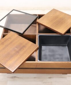 Carlo Hauner Coffee Table - Compartments -Styylish