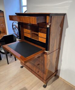 Biedermeier Secretaire - Compartments And Desk - Styylish