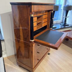 Biedermeier Secretaire - Side with Extended Desk - Styylish