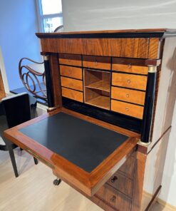 Biedermeier Secretaire - View of Compartments - Styylish