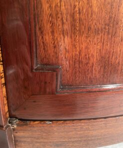 Pair of Demilune Cabinets- detail of the door- Styylish